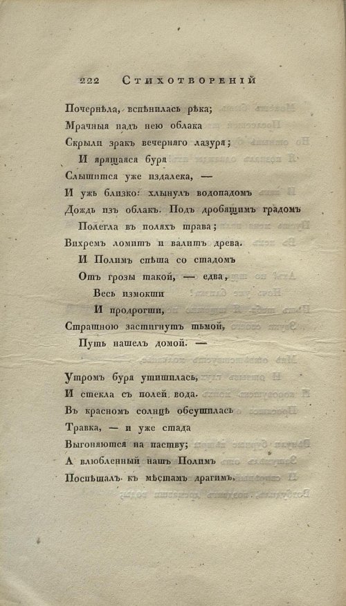 Страница 238