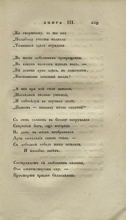 Страница 245