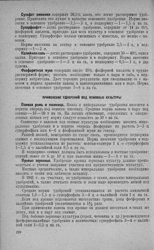 Страница 124