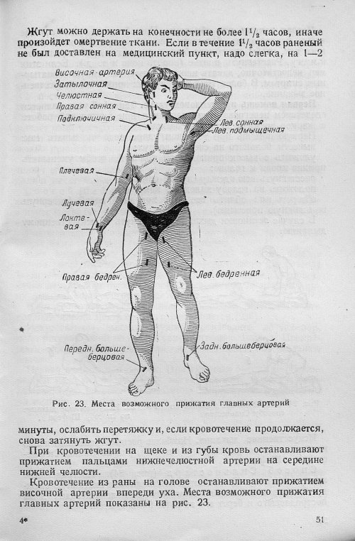Страница 53