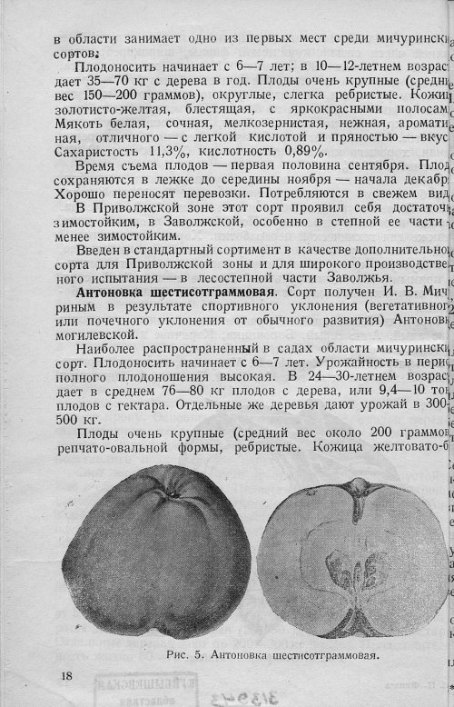 Страница 20
