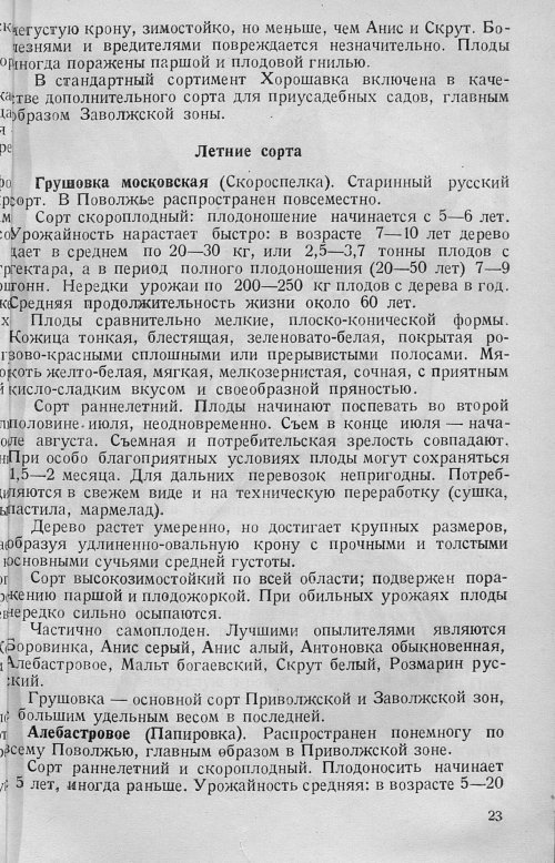 Страница 25