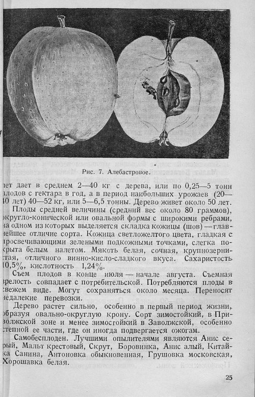 Страница 27