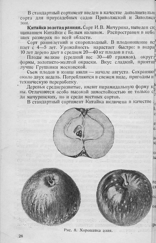 Страница 30