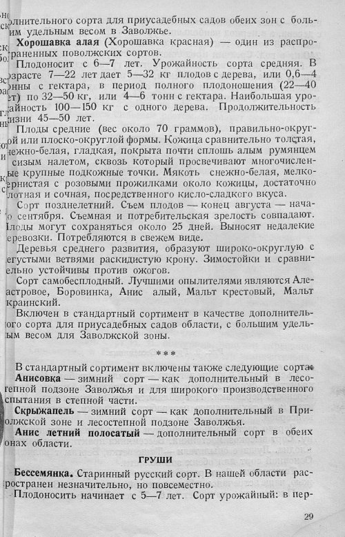 Страница 31
