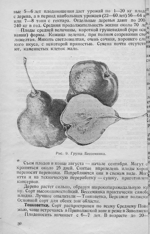 Страница 32