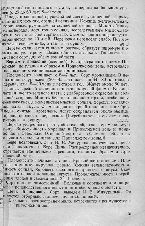 Страница 33
