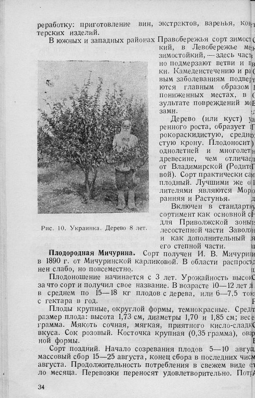 Страница 36
