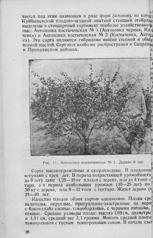 Страница 38