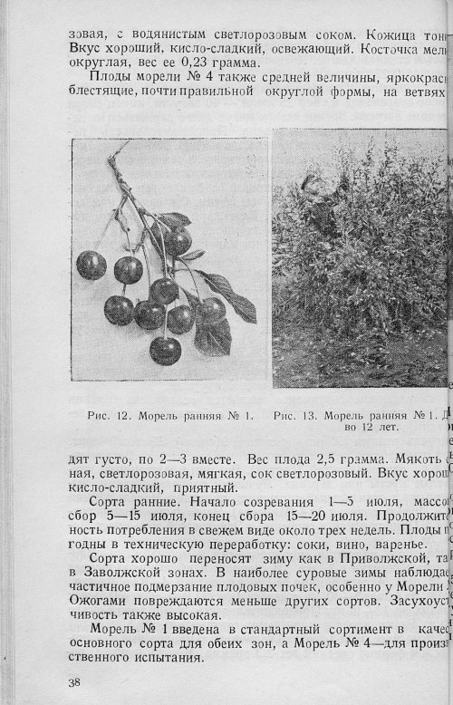 Страница 40