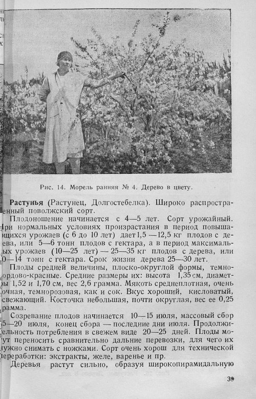 Страница 41