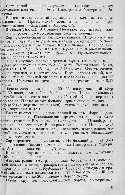 Страница 45