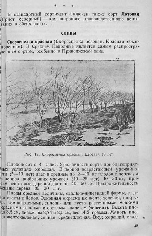 Страница 47
