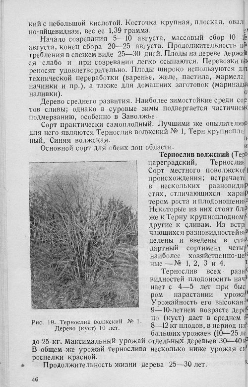 Страница 48