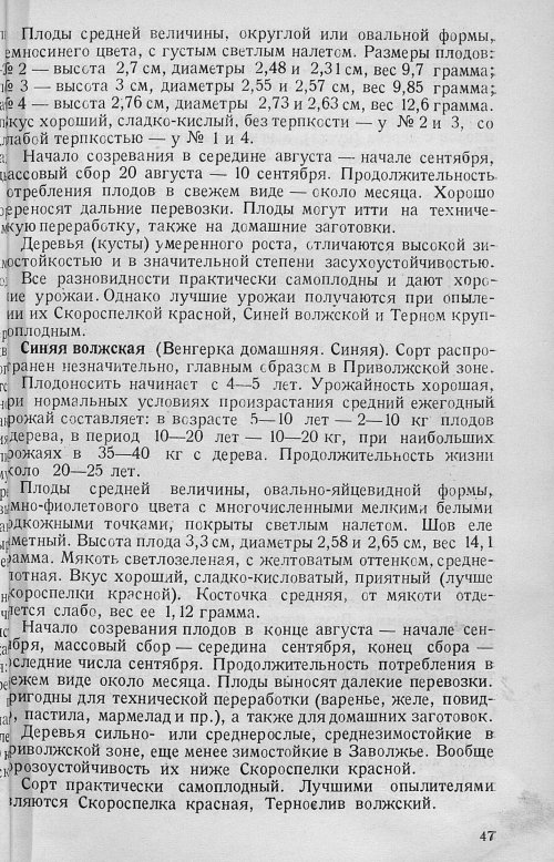 Страница 49