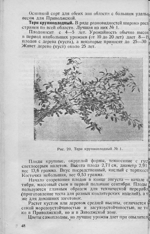 Страница 50