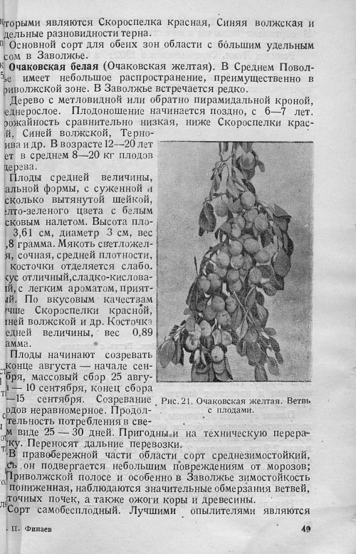 Страница 51