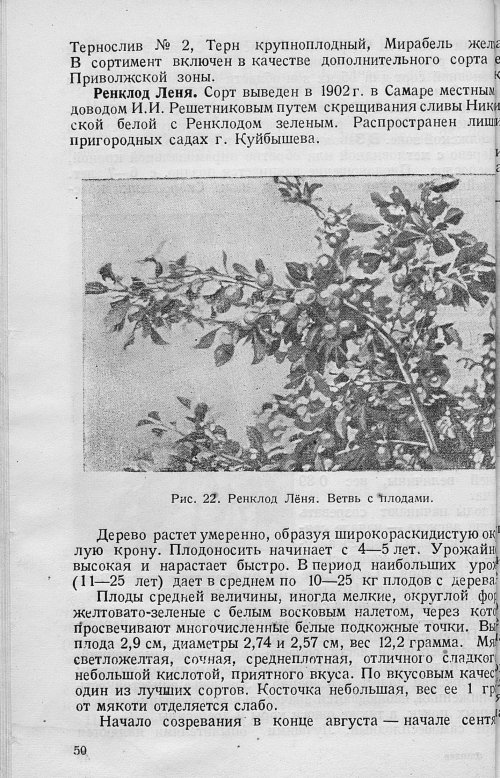 Страница 52