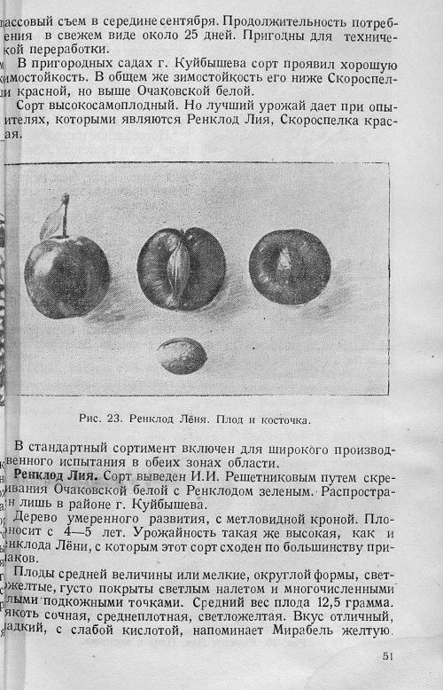 Страница 53