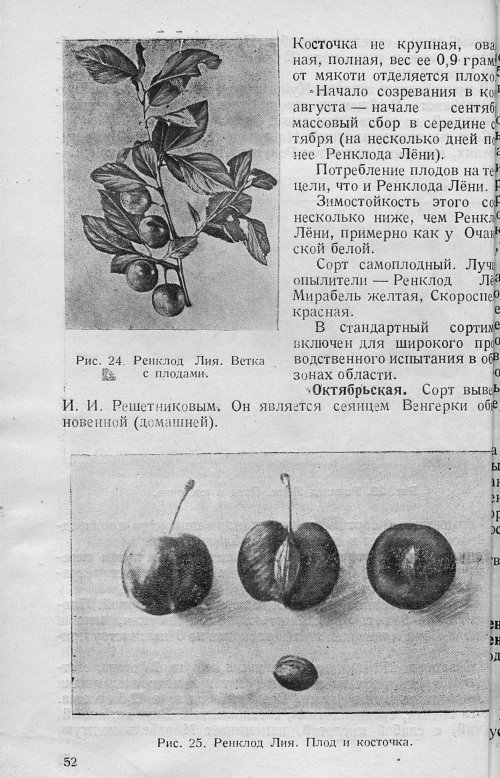 Страница 54