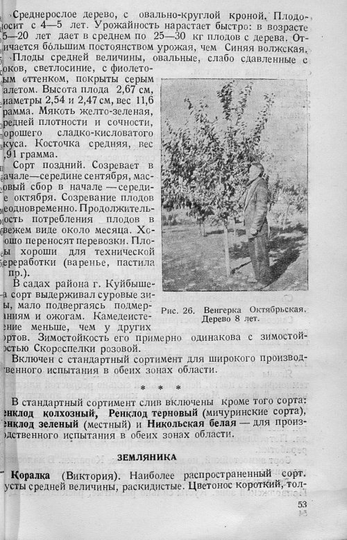 Страница 55