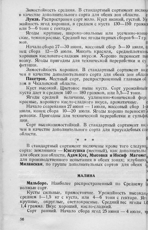 Страница 58