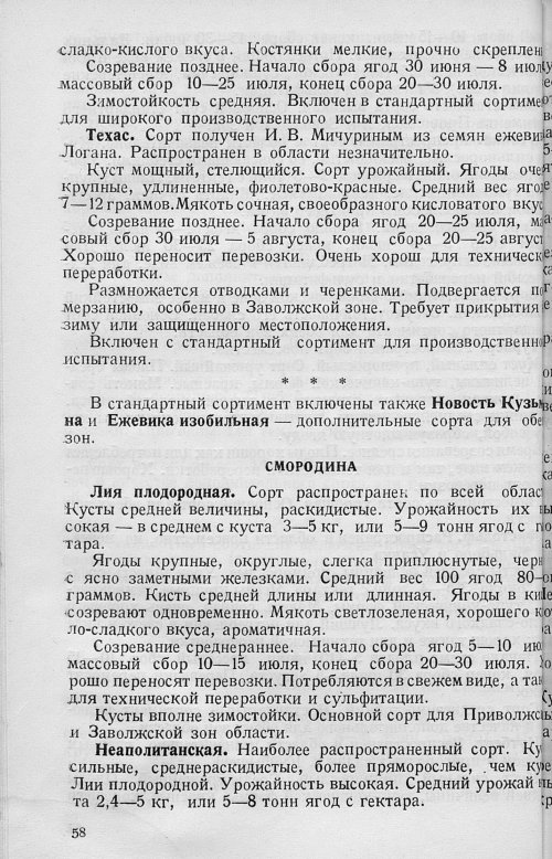 Страница 60