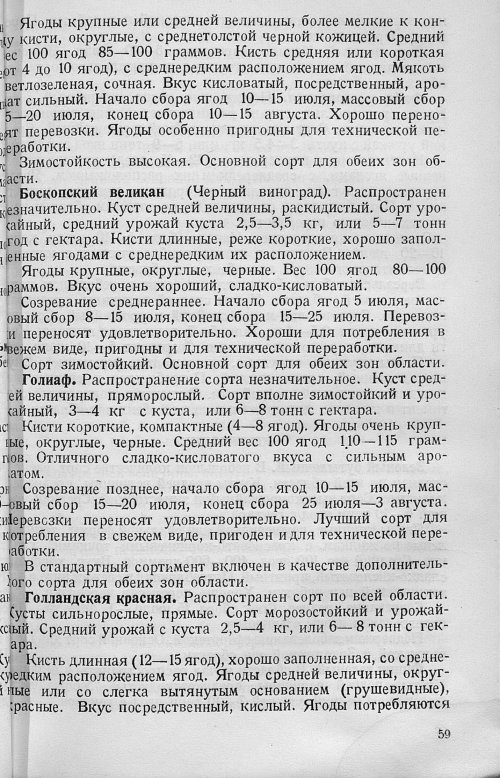 Страница 61
