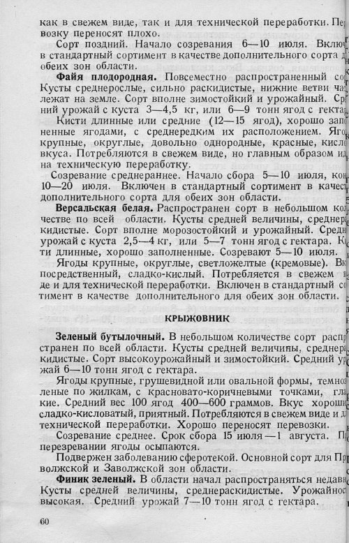 Страница 62