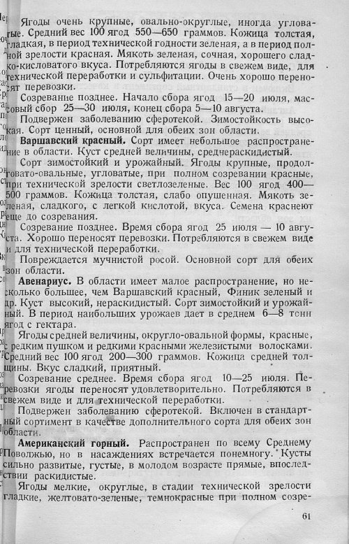 Страница 63