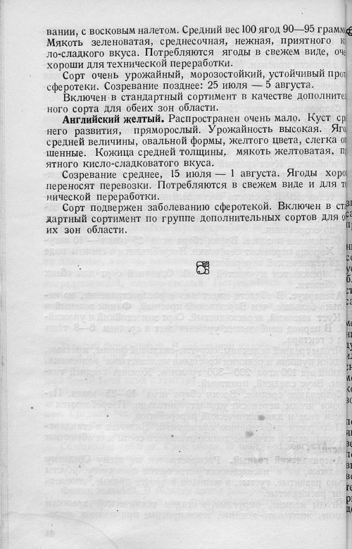 Страница 64