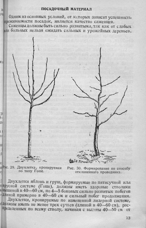 Страница 75