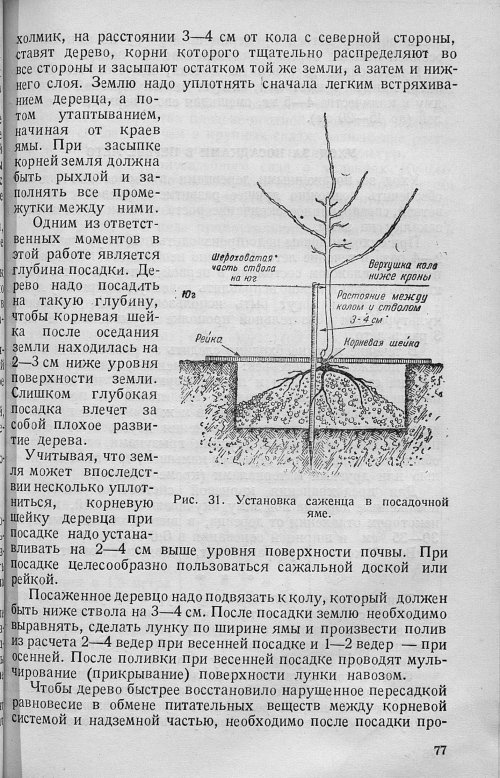 Страница 79