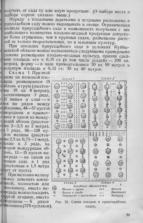 Страница 81