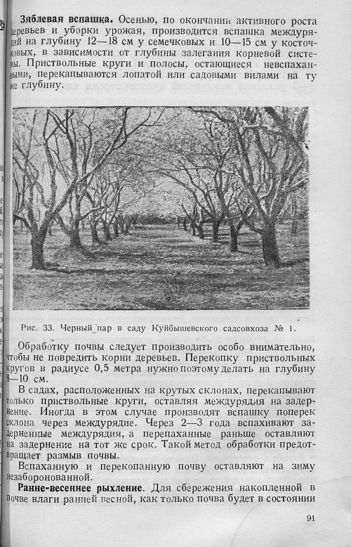 Страница 93