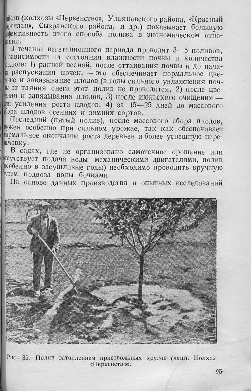 Страница 97