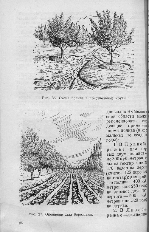 Страница 98