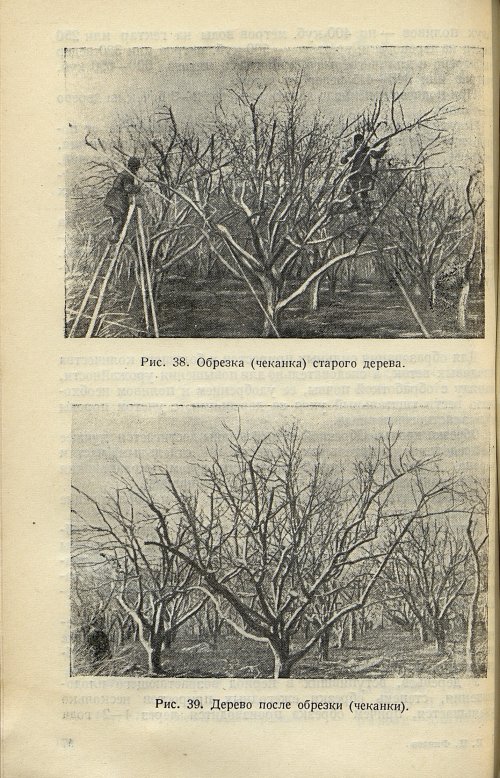 Страница 100