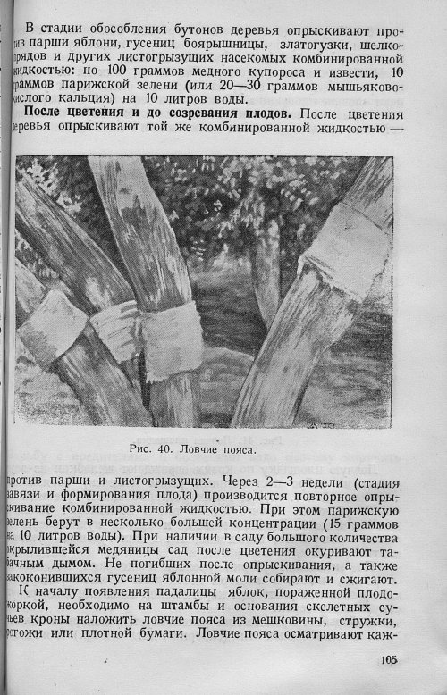 Страница 107