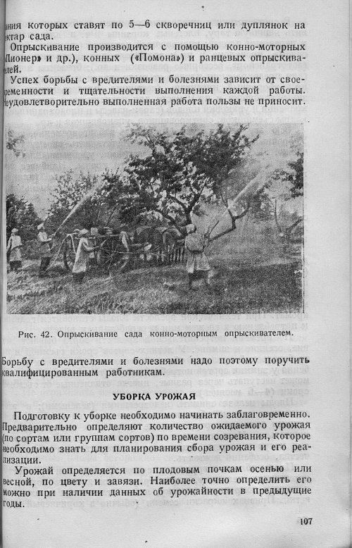 Страница 109
