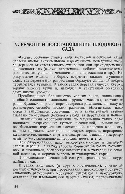 Страница 116