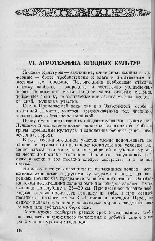 Страница 120