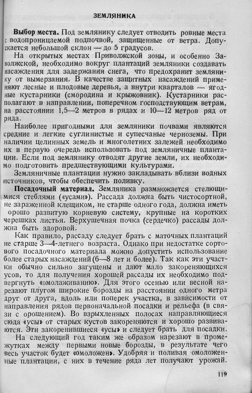 Страница 121