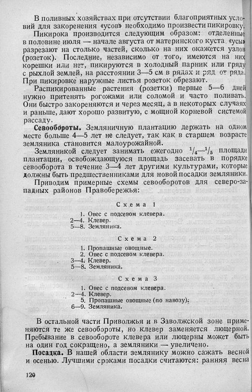 Страница 122