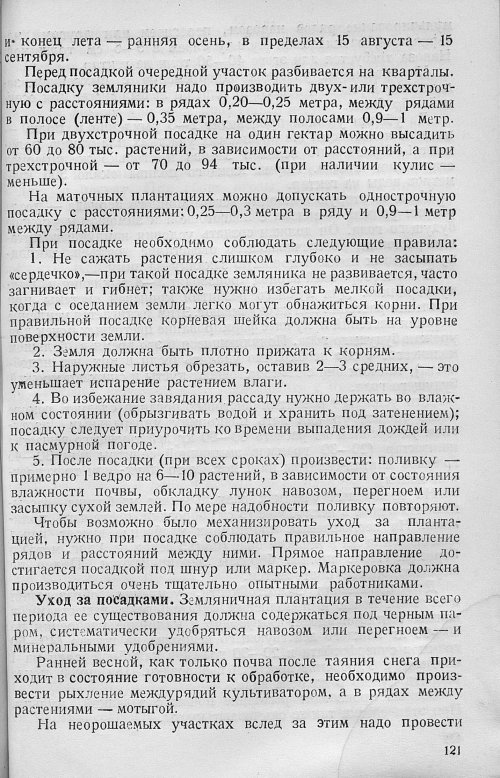 Страница 123