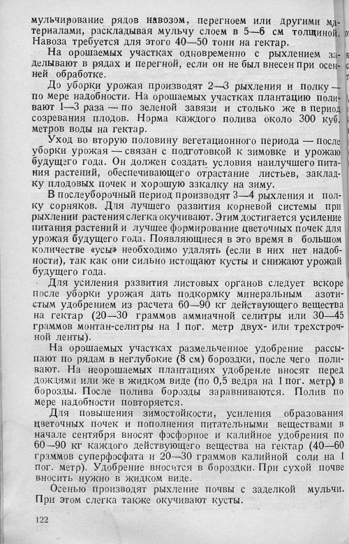 Страница 124