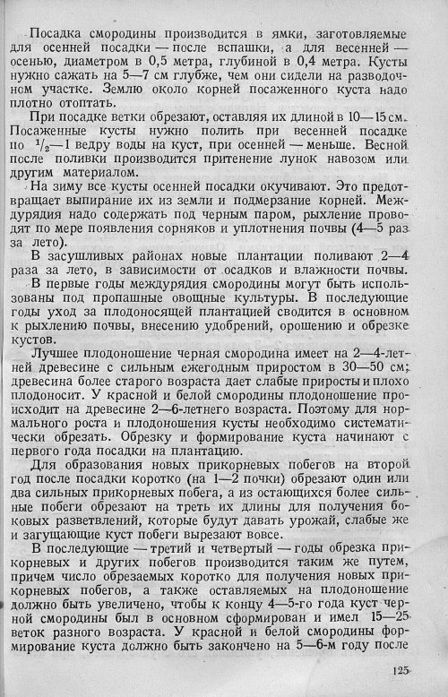 Страница 127
