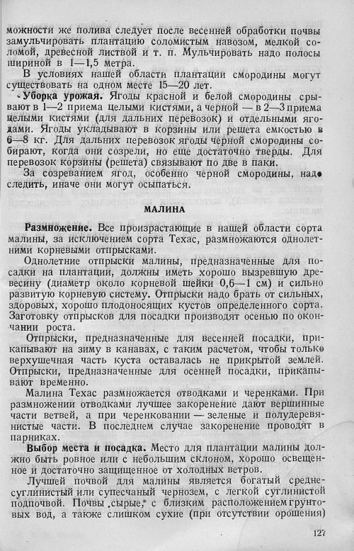 Страница 129