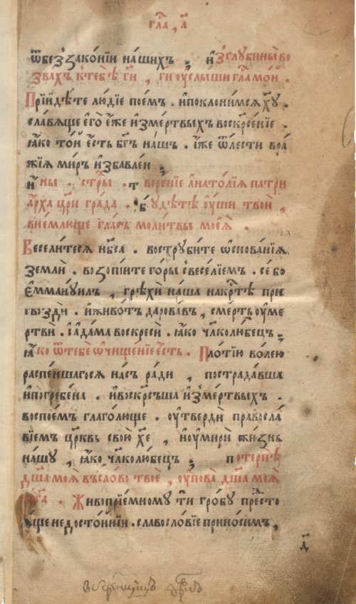 Страница 13