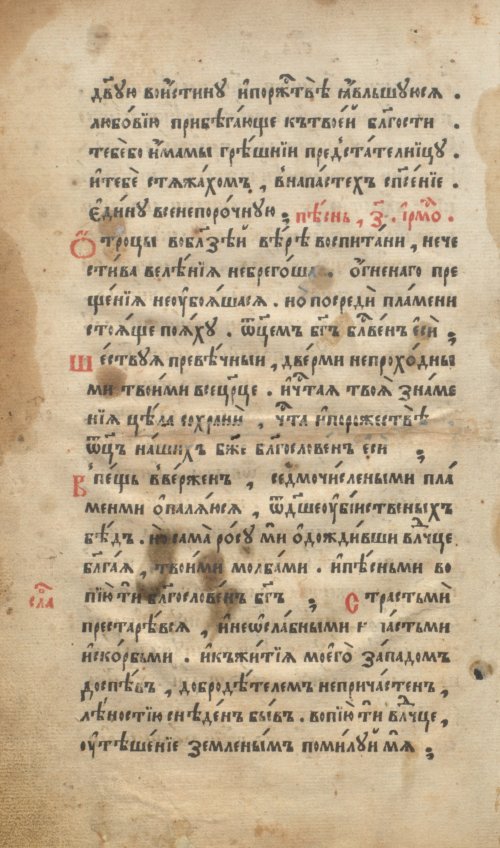 Страница 24